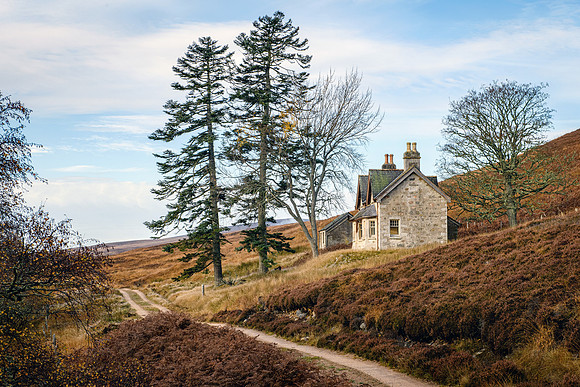 201107 Craggie 051