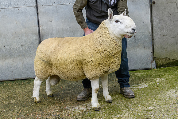 220916 NCC Quoybrae - Barnaclavan Challenger - £5000 #2