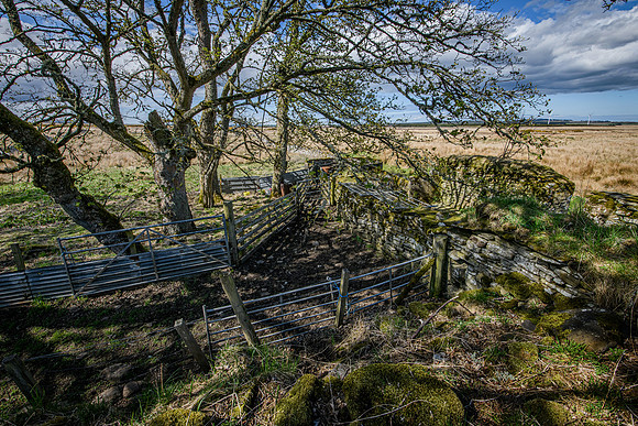 210516 Dalemore 040