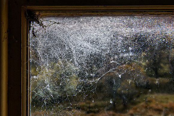 201107 Craggie 175