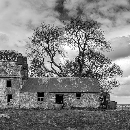210517 Dalemore 080