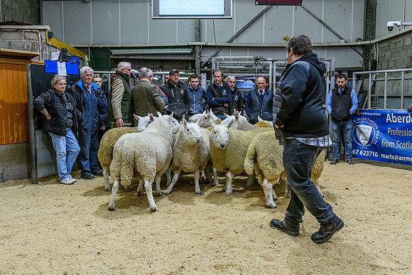220916 NCC Quoybrae 046