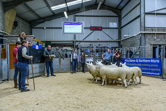220916 NCC Quoybrae 175