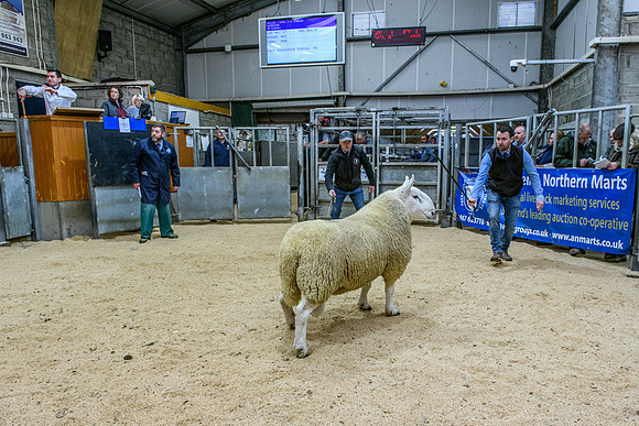 220916 NCC Quoybrae 228