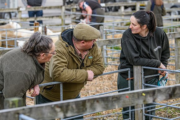 241102 Lairg Hill NCC Show 007