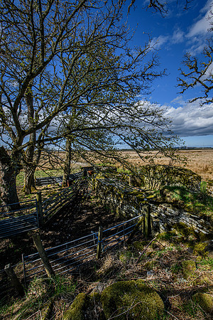 210516 Dalemore 039