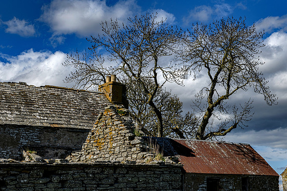 210516 Dalemore 098