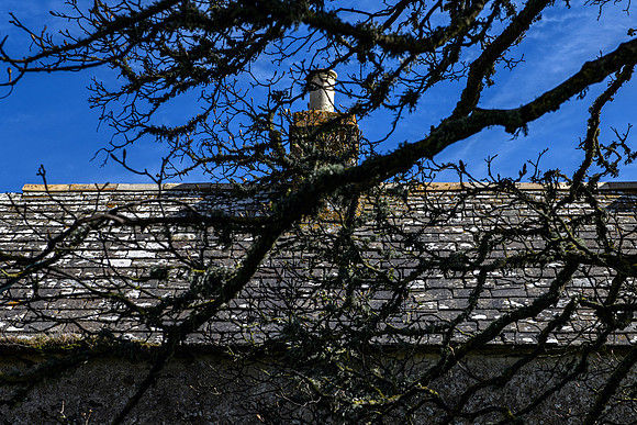 210516 Dalemore 094