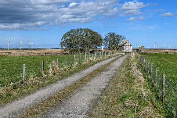 210516 Dalemore 110