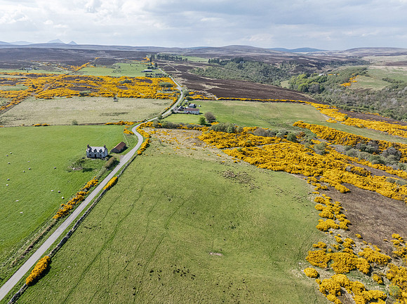 250510 Dunbeath 152