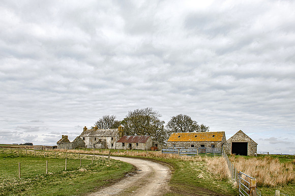 210517 Dalemore 087