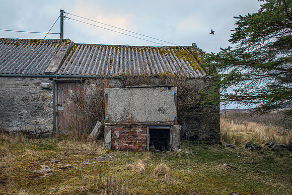220326 Benny's Croft 013
