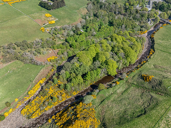 250510 Dunbeath 119
