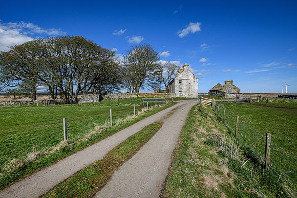 210516 Dalemore 062