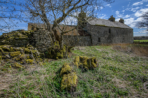 210516 Dalemore 046