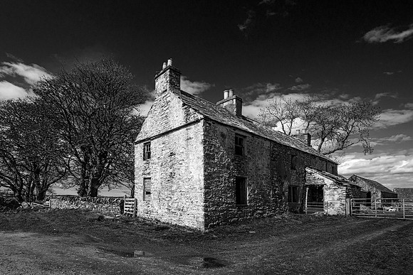 210516 Dalemore 006