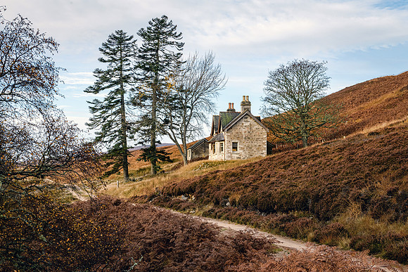 201107 Craggie 053
