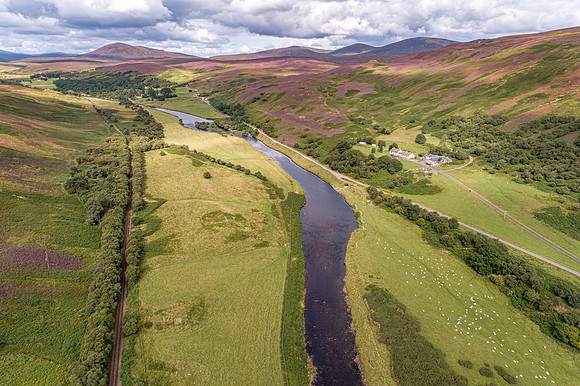 240820 Torrish 065