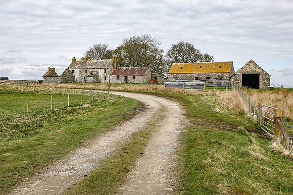 210517 Dalemore 085