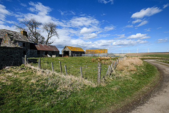 210516 Dalemore 004