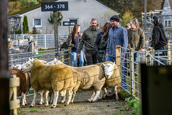 241102 Lairg Hill NCC Show 014