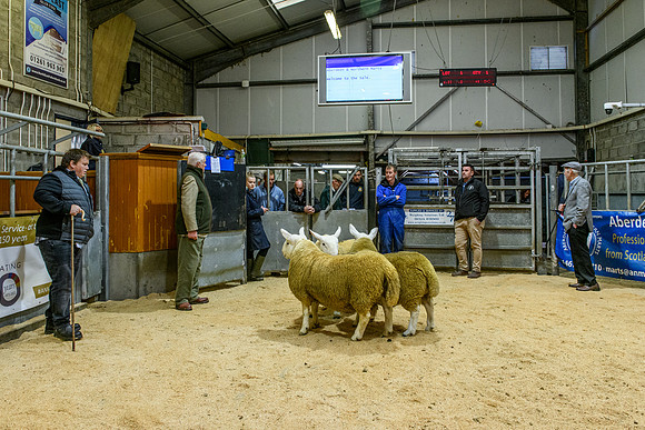 220916 NCC Quoybrae 007