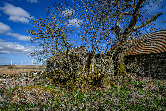210516 Dalemore 047