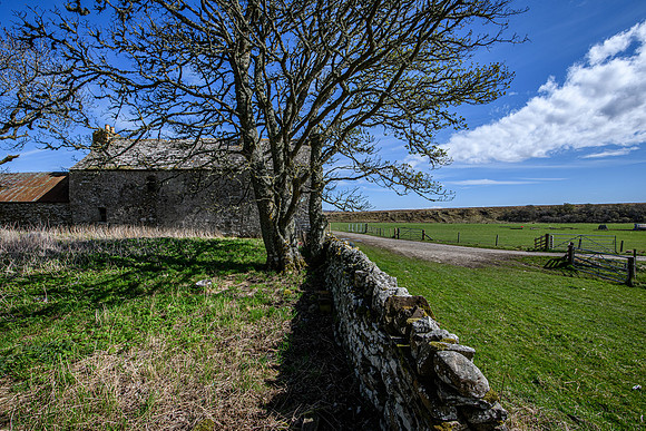 210516 Dalemore 034