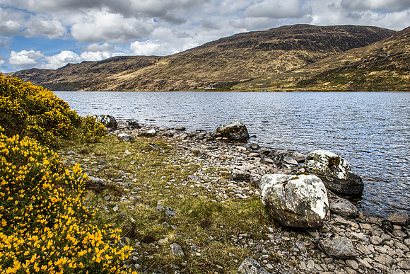 220427 Kinlochbervie 080