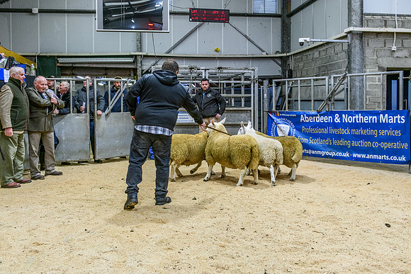220916 NCC Quoybrae 010