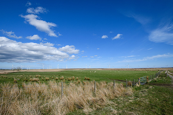 210516 Dalemore 056