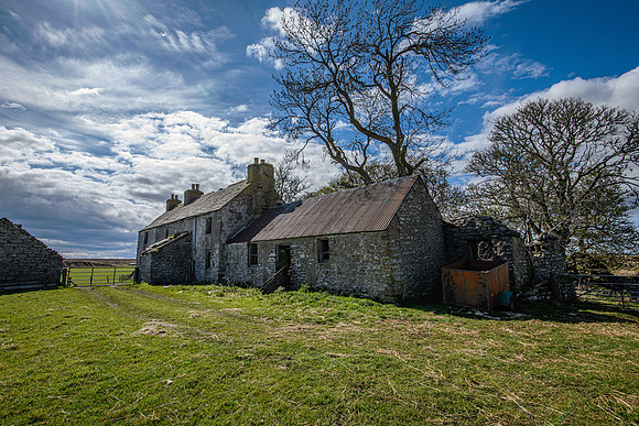 210516 Dalemore 021